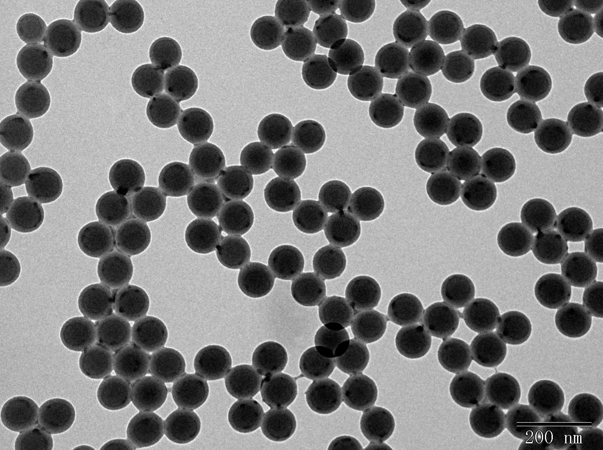 Polystyrene Nanoparticles are Used for a Wide Range of Assays and Diagnostic Tests!