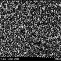 What are the benefits of choosing Carboxyl-functionalized magnetic silica nanoparticles