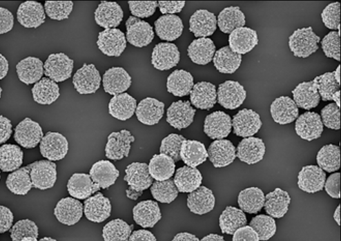 What are the advantages of Magnetic Silica Nanoparticles