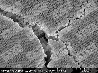 Silica Nanoparticles are Used for Drug Applications and to Make Nano Medicines!