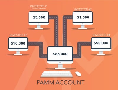 PAMM INVESTOR PROGRAM image