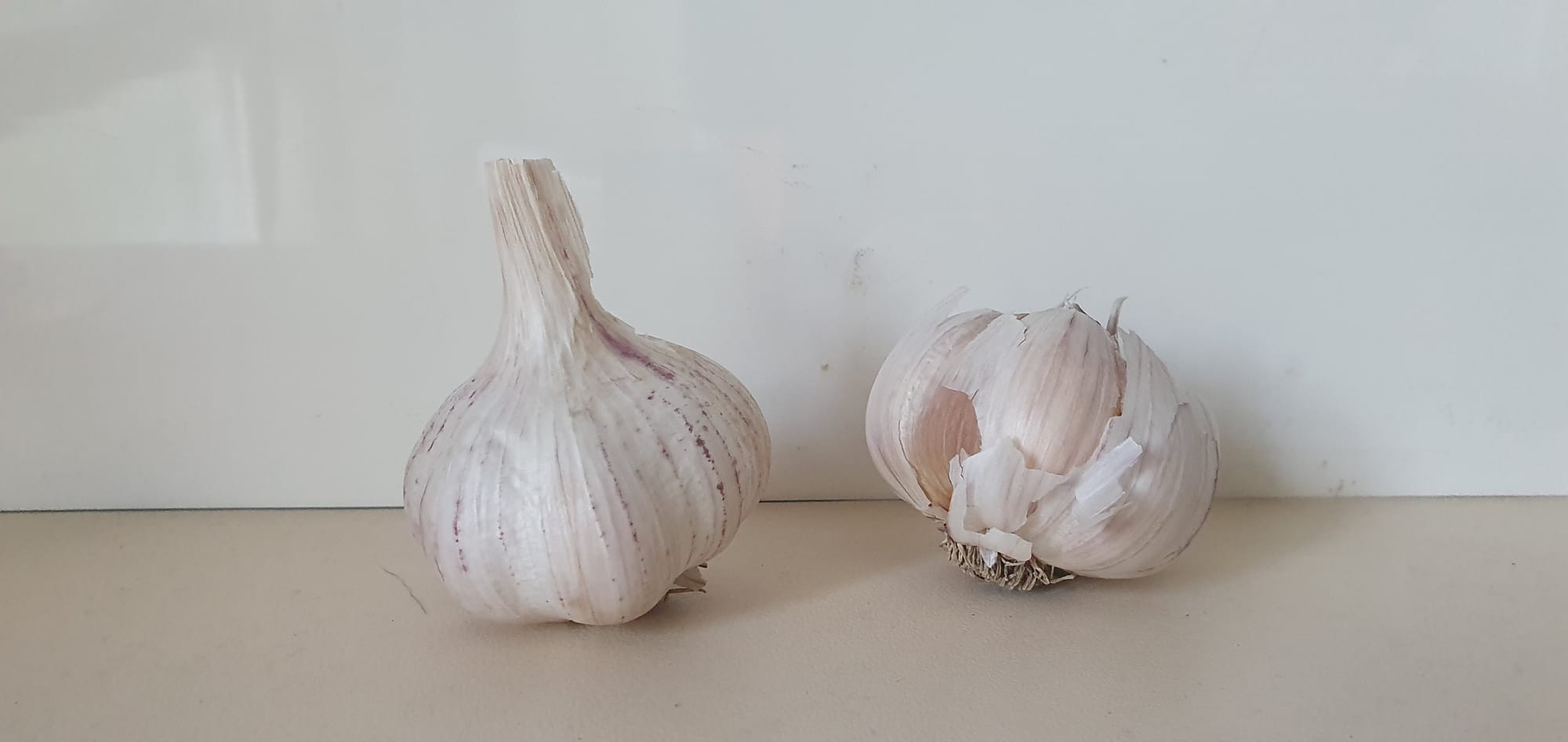 Inkeri Red - Rustic Garlic Variety