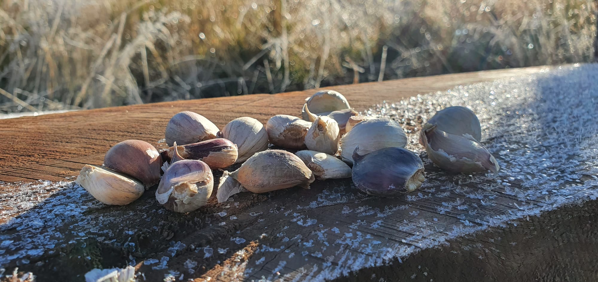 Frosty Garlic Cloves