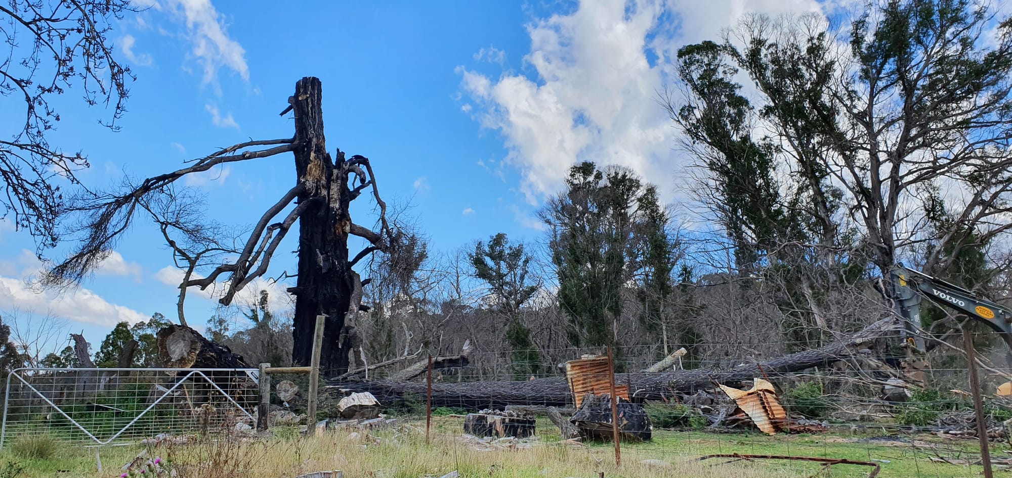 Cleanup Continues with the Bushfire Recovery