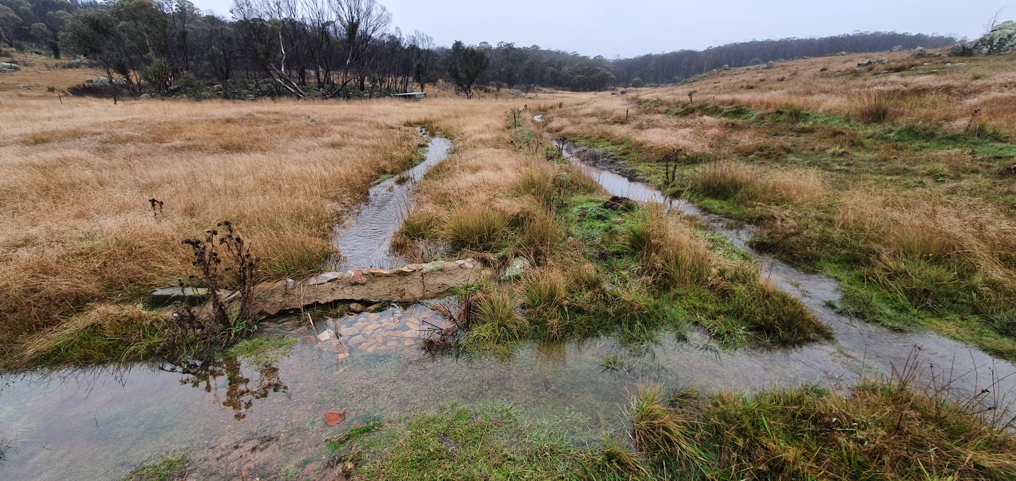 Hydrology in our Landscape