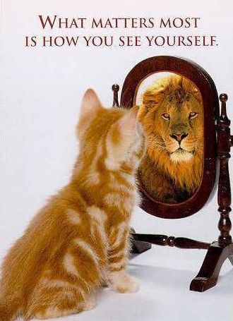 Who is reflected in the mirror?