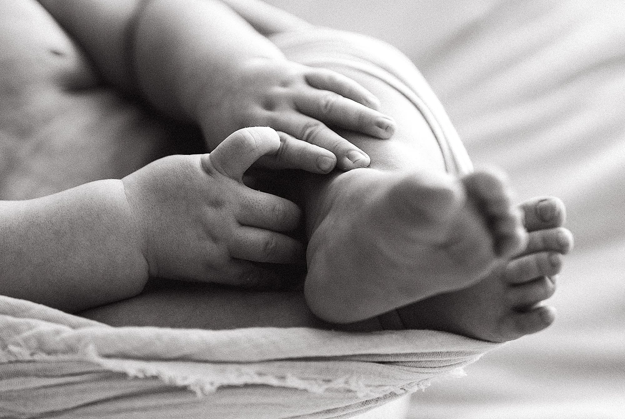 ניו בורן לייף סטייל