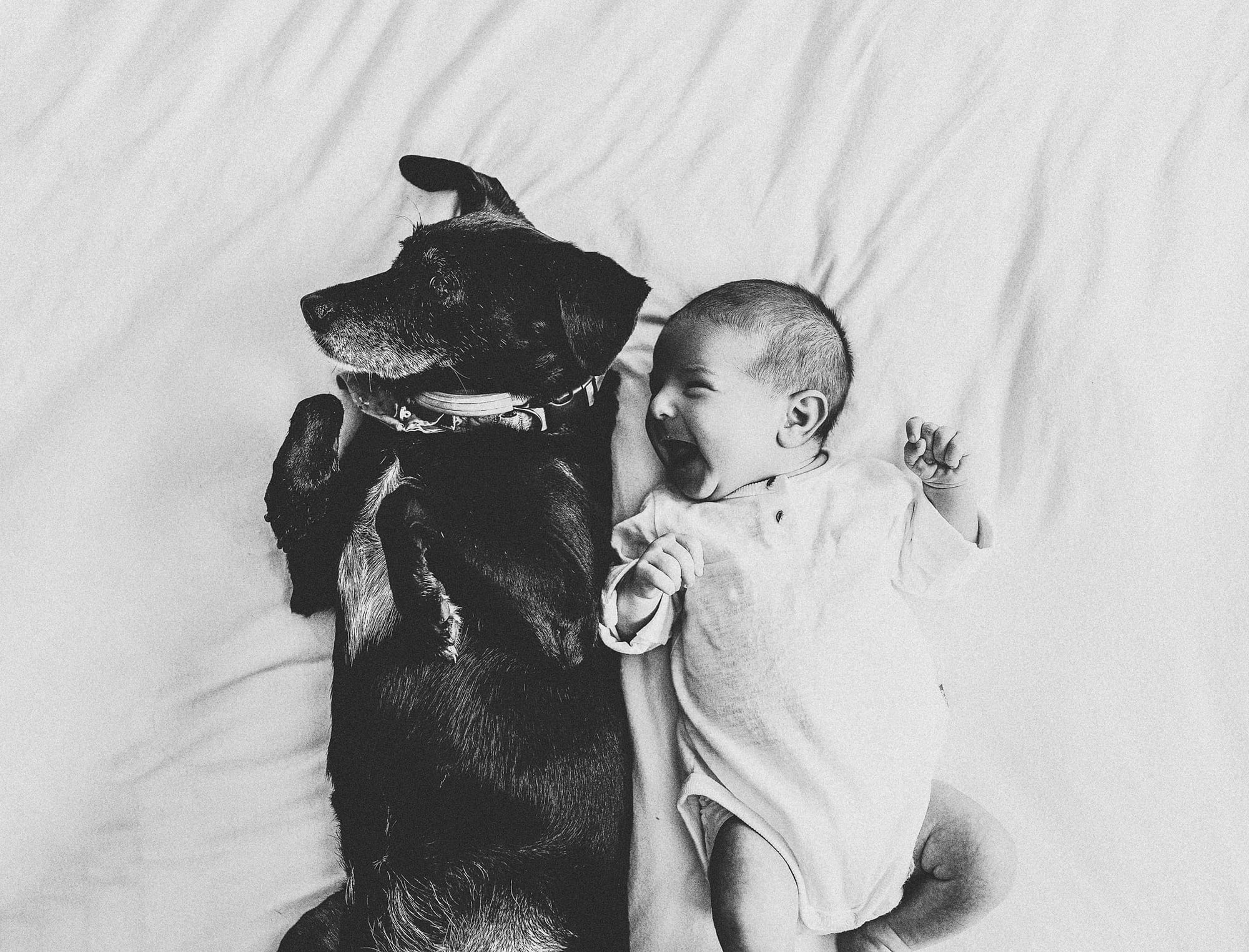 ניו בורן לייף סטייל