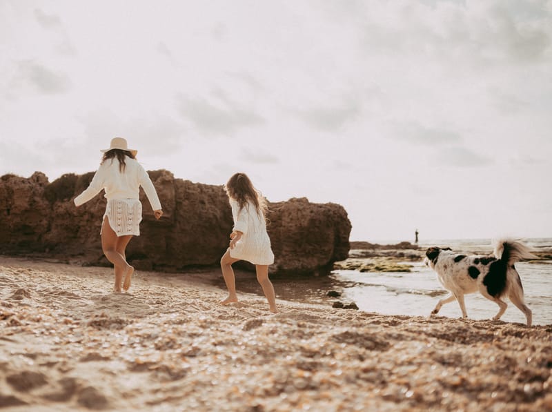 צילומי משפחה בים | צילומי הריון בים | צילומי גיל שנה בים