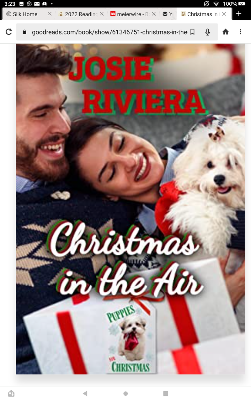 Christmas in the Air by Josie Rivieria