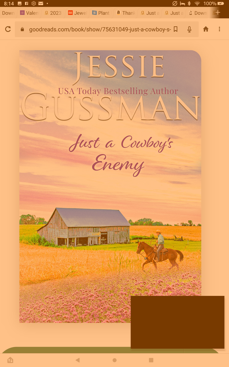 Just a Cowboys enemy by Jessie Gussman ( Fly boys of North Dakota western sweet romance book 3)