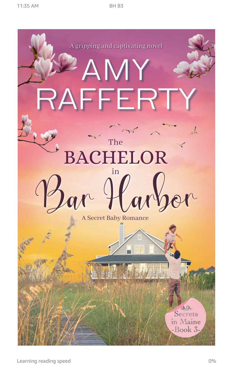 The Bachelor in Bar Harbor by Amy Rafferty  (a secret baby romance, secrets in Main book 3) five stars🎆🎆🎆🎆🎆