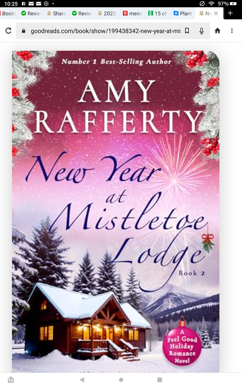New Year at Mistletoe Lodge by Amy Rafferty ( a feel good holiday romance novel)