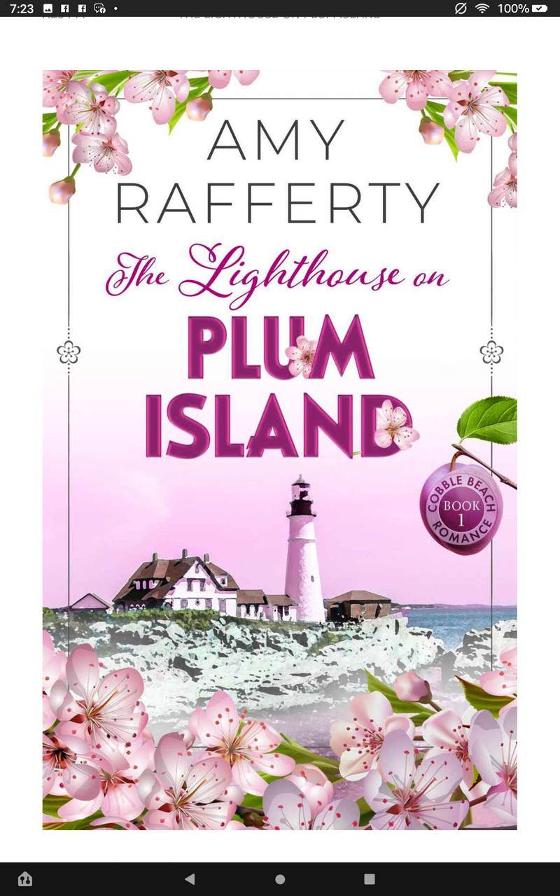 The lighthouse on Plum Island by Amy Rafferty (cobble beach romance book 1)