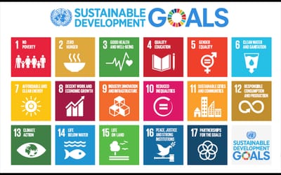 Sustainable Development Goals image