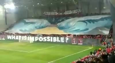 מנואלה הפועל באר שבע