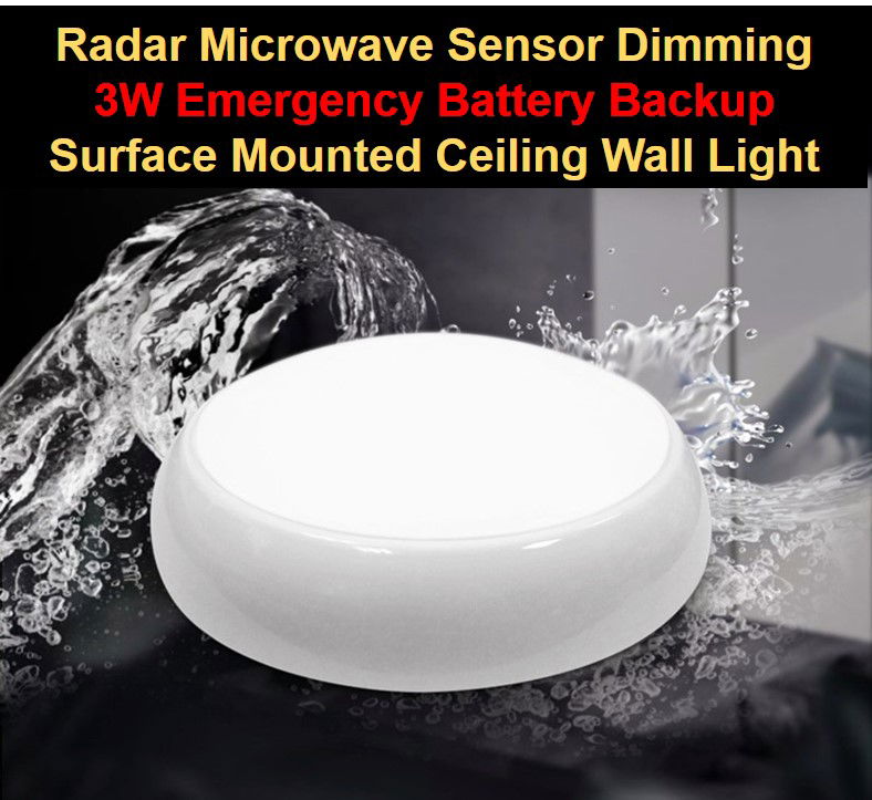 Saba Japan Radar Microwave Integrated Sensor Auto Reset Dimming IP65 3W Emergency Surface Mounted Ceiling Wall Light