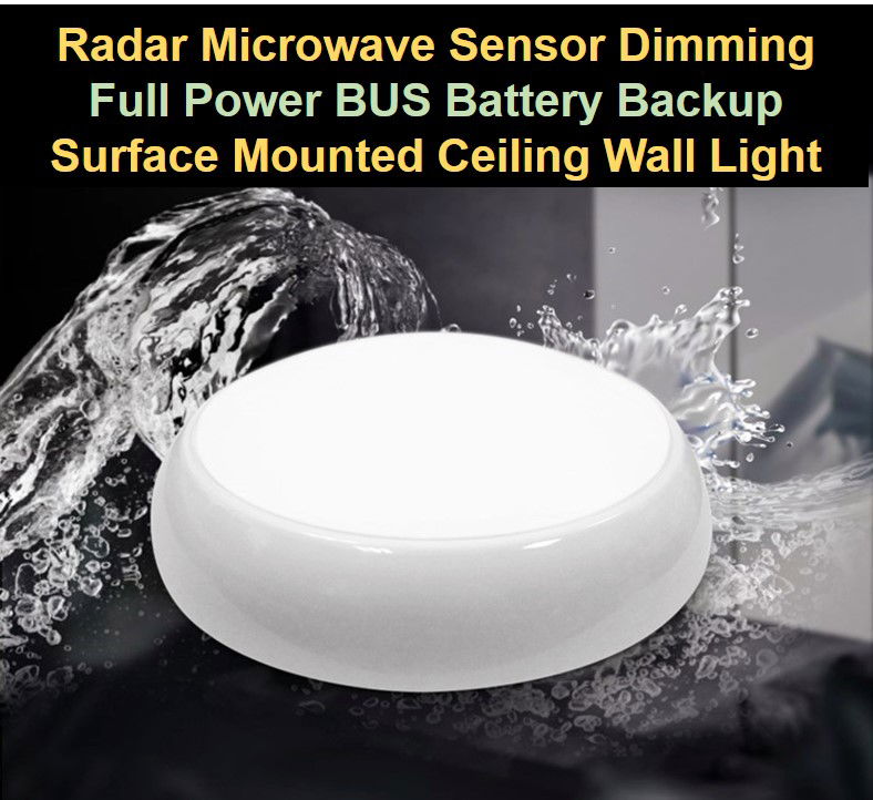 Saba Japan Radar Microwave Sensor Auto Reset Dimming IP65 Full Power Battery Backup Surface Mounted Ceiling Wall Light