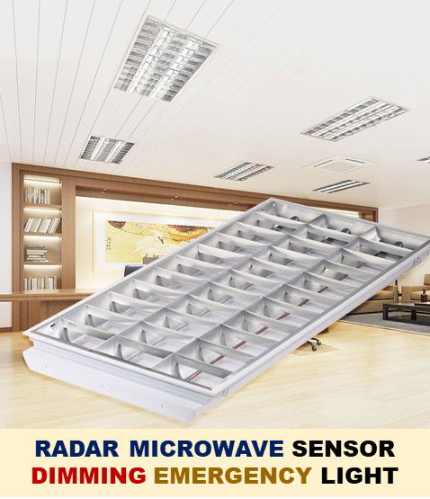 Saba Japan T8 DC IP20 Radar Microwave Sensor Auto Reset Montana Emergency Light (External Driver)