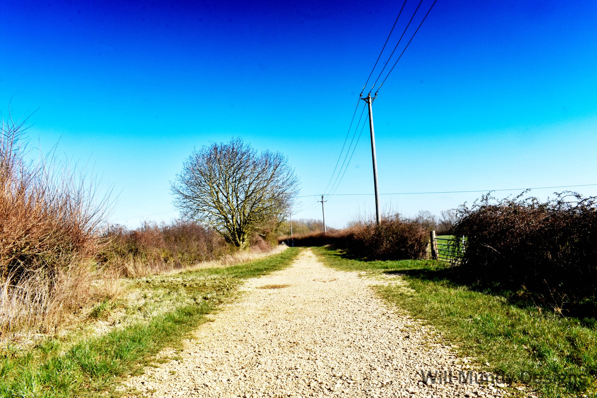 Footpath at Standlake