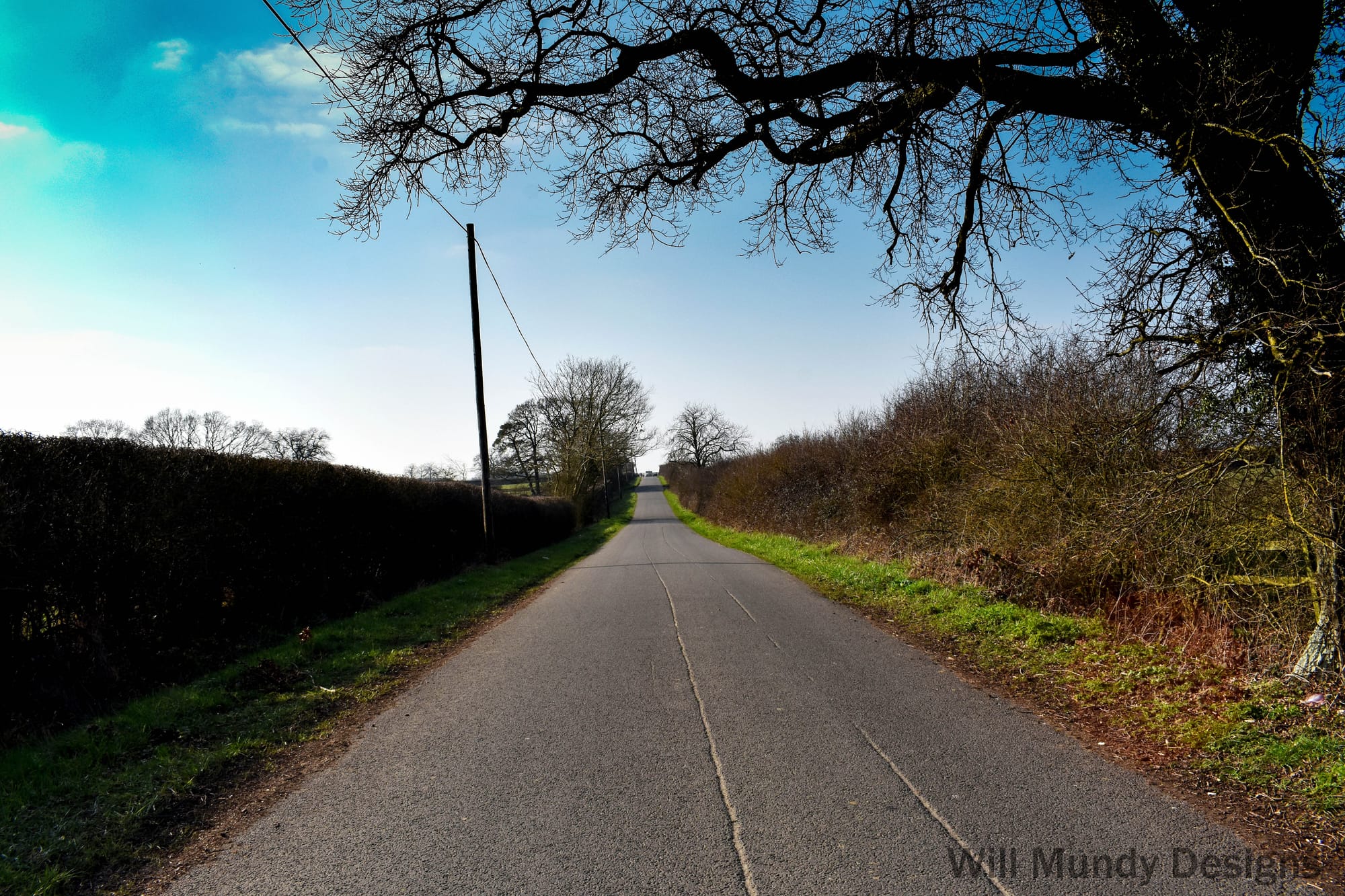Country Road near Curbridge