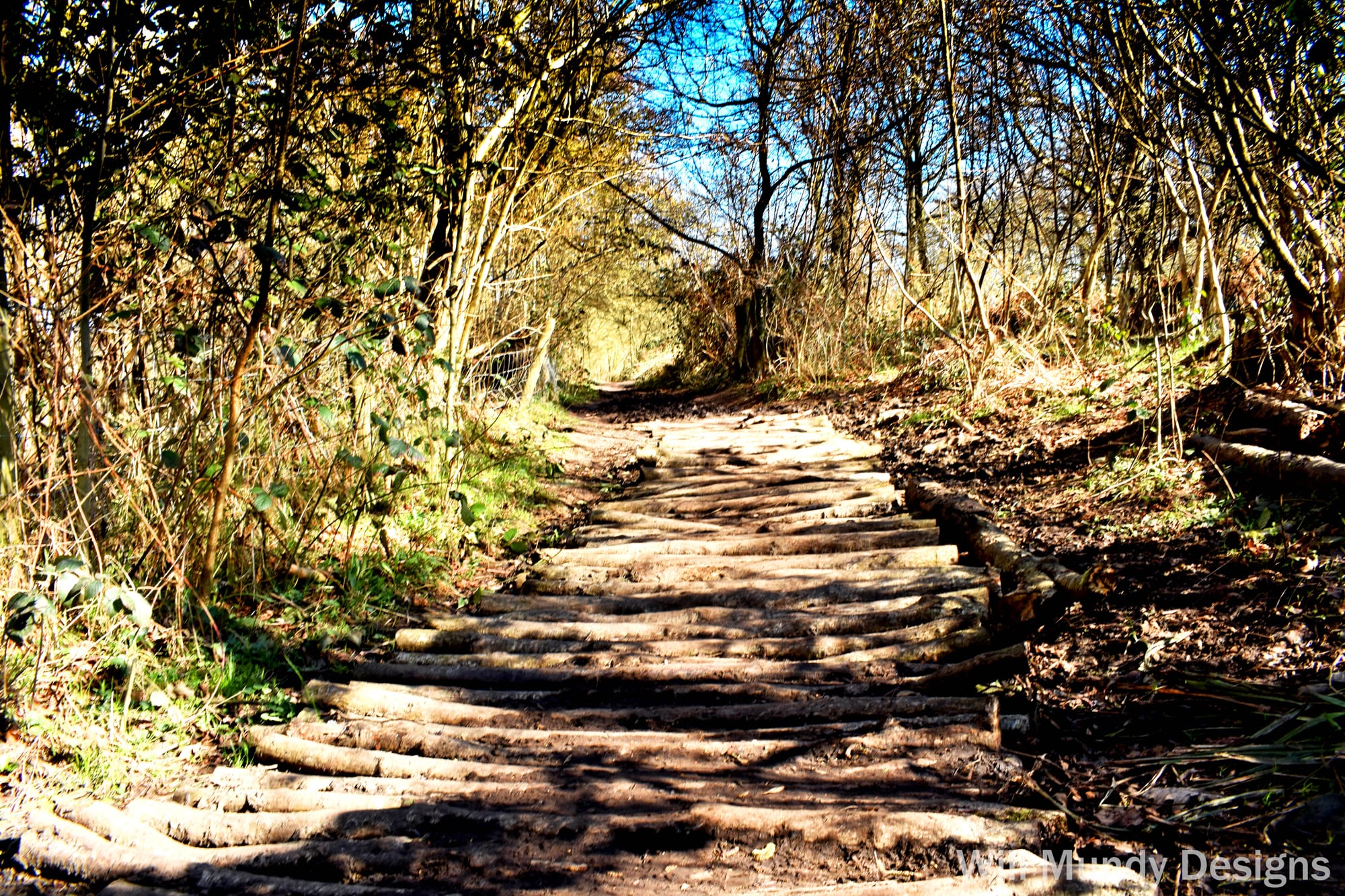 Besselsleigh Woods