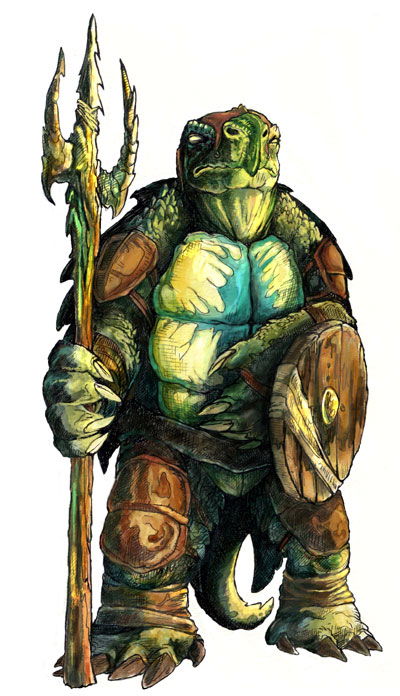 Tortle image
