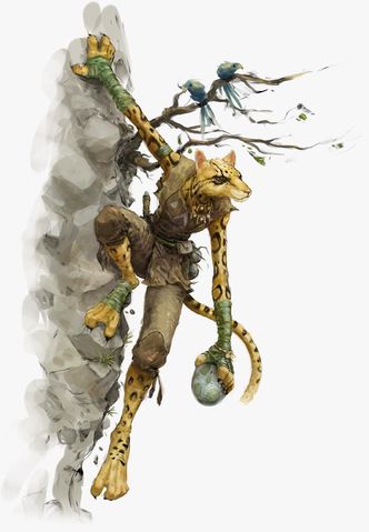 Tabaxi image