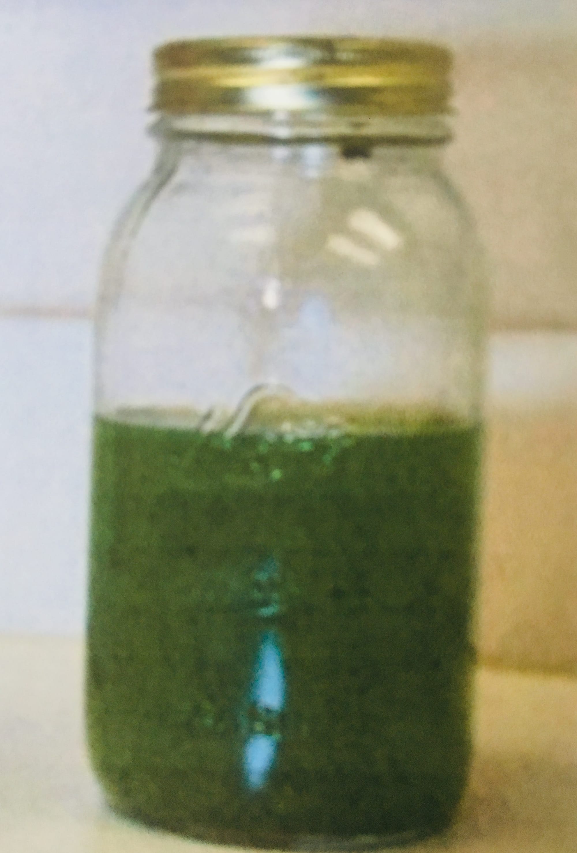 Simple, no-cost tests for blue-green algae