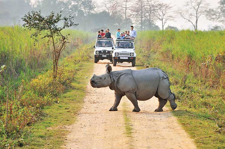 East India Wildlife Tour