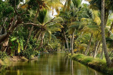 Kerala Backwaters Tour Packages