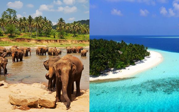 SRI LANKA & MALDIVES TOUR