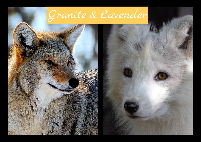 Granite & Lavender