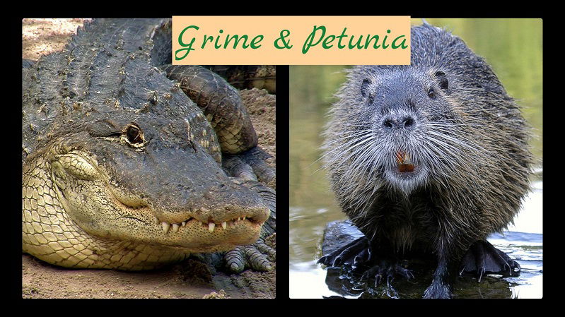 Grime & Petunia