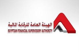 تاسيس شركة مساهمة مصرية