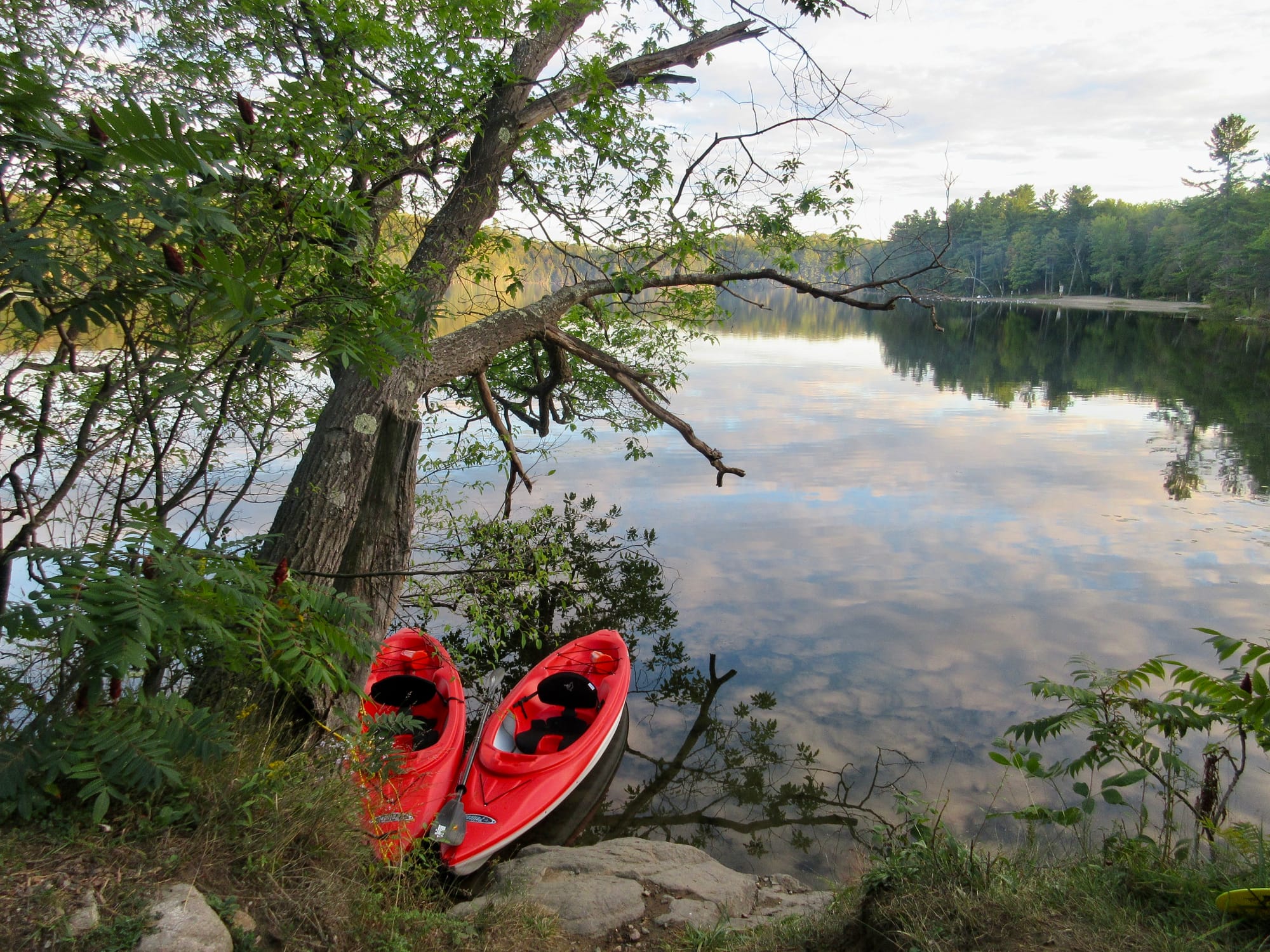 Kayaks