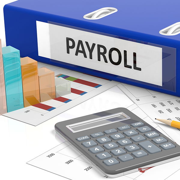 Payroll & Pension