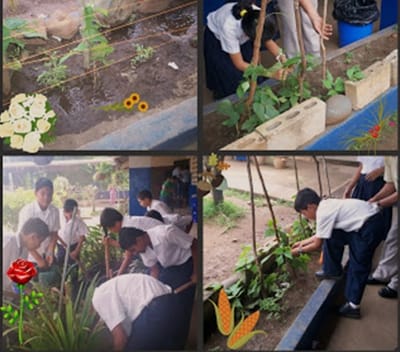  PROYECTO COLABORATIVO image