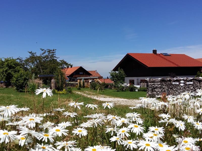 Beim Wartner - Luxus Chalets und Suiten