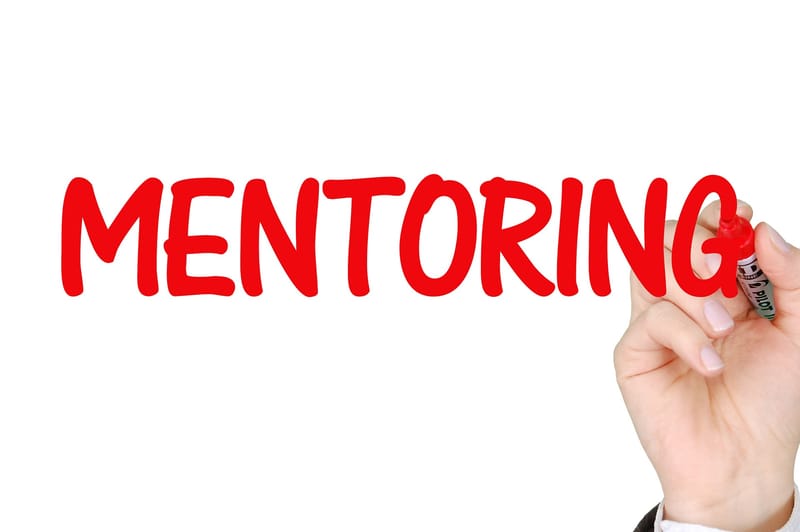 TRAINING AND MENTORING