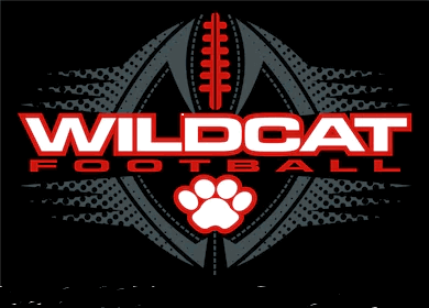 Local Coach does well. The third coach from this school to coach in the NFL. Struthers, Ohio.