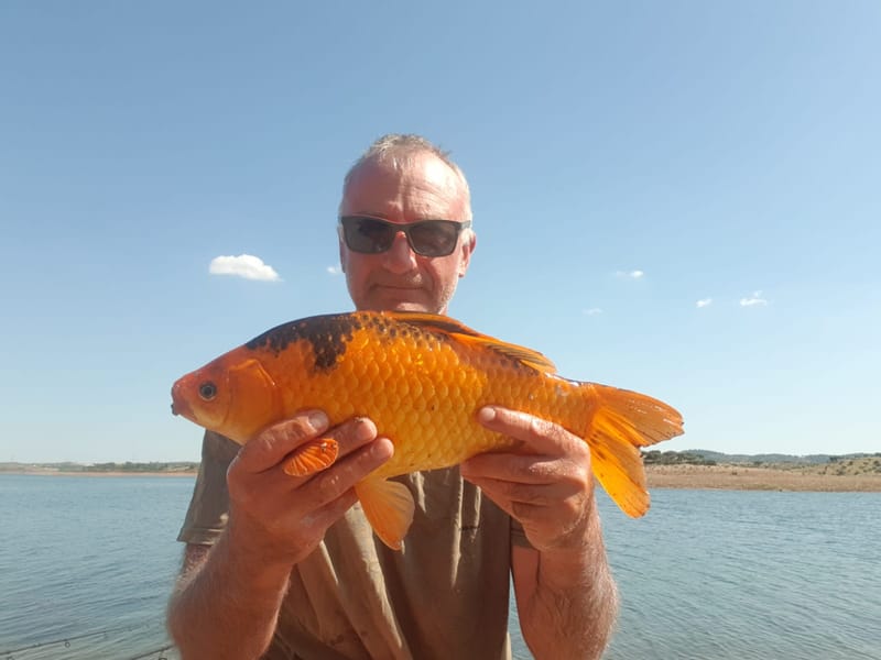 Fishing in Portugal