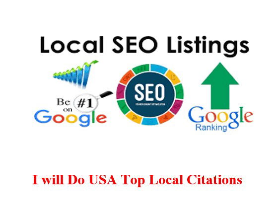 I will do USA high quality 300 local citations