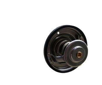 Thermostat_4110000970108 : LG958L