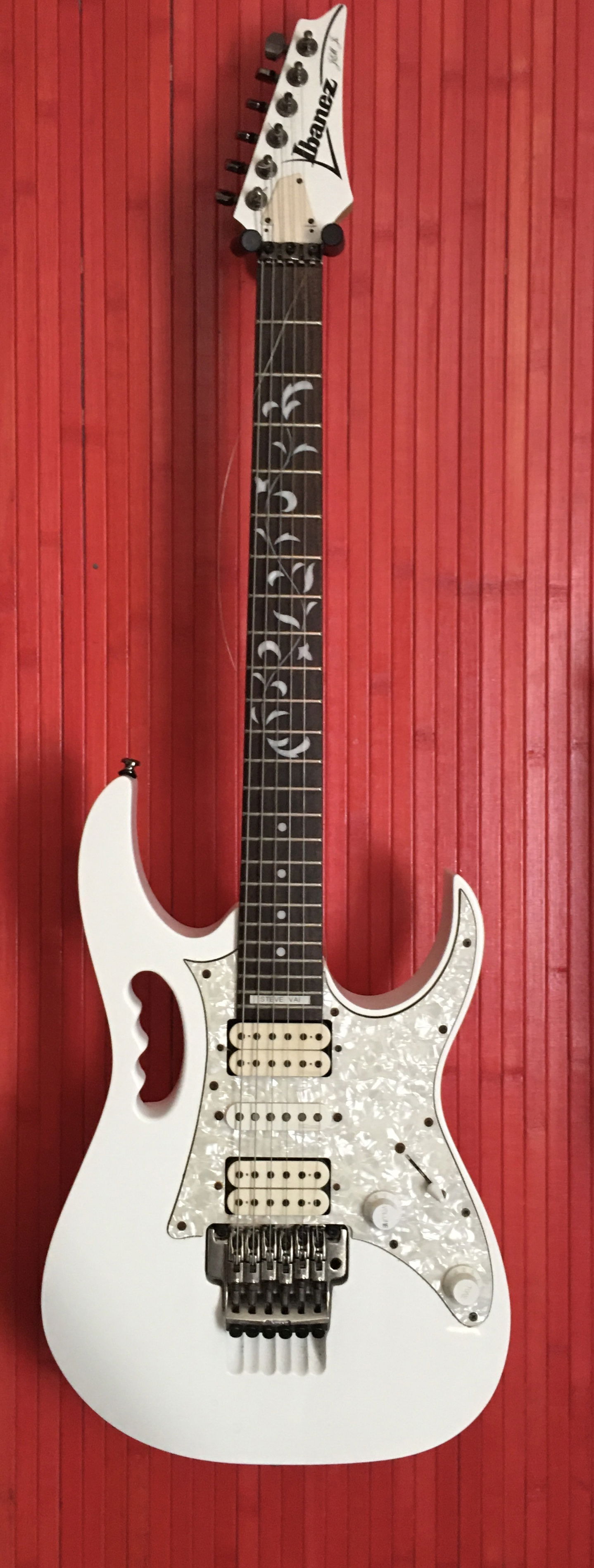 Ibanez Jem