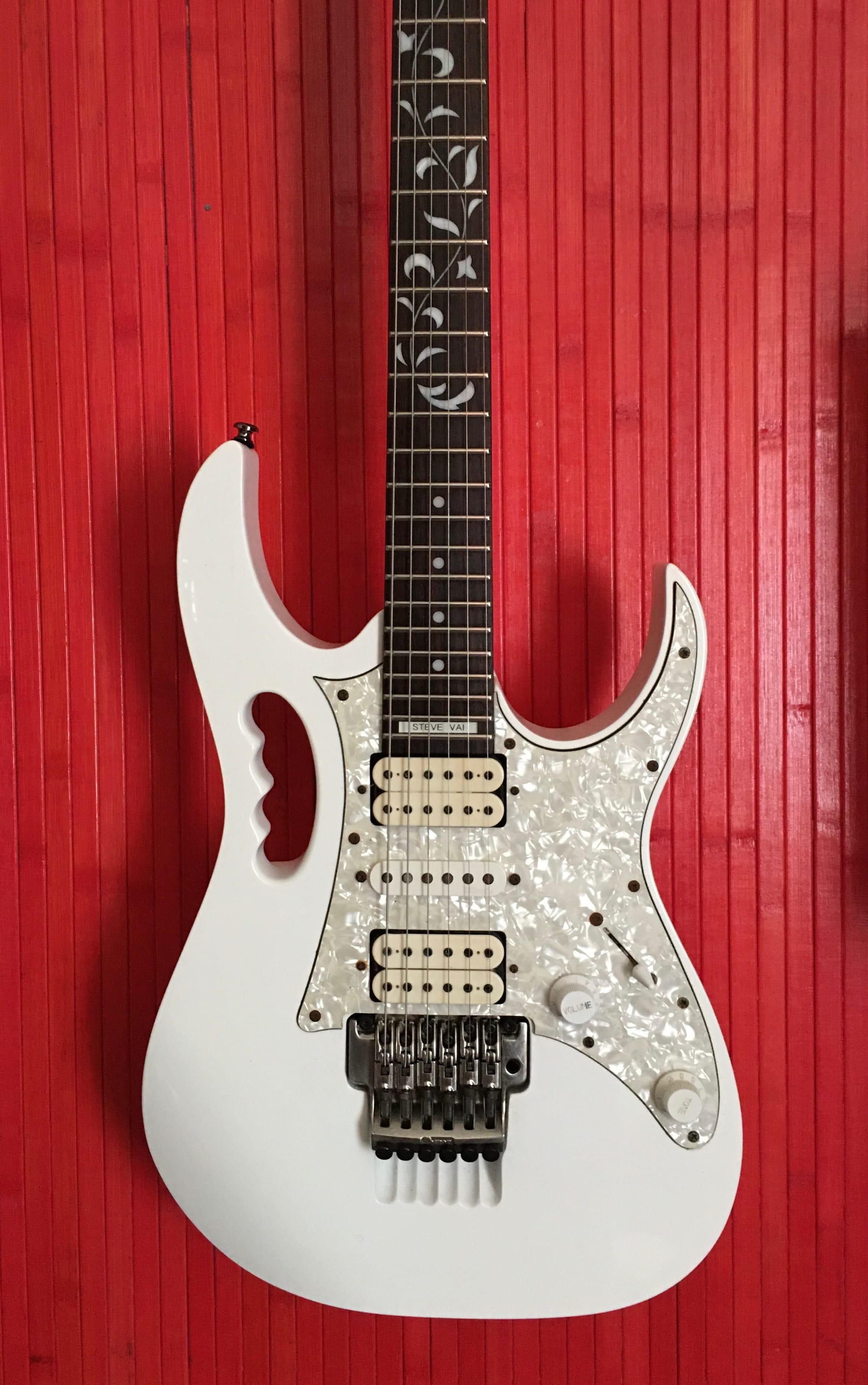 Ibanez Jem