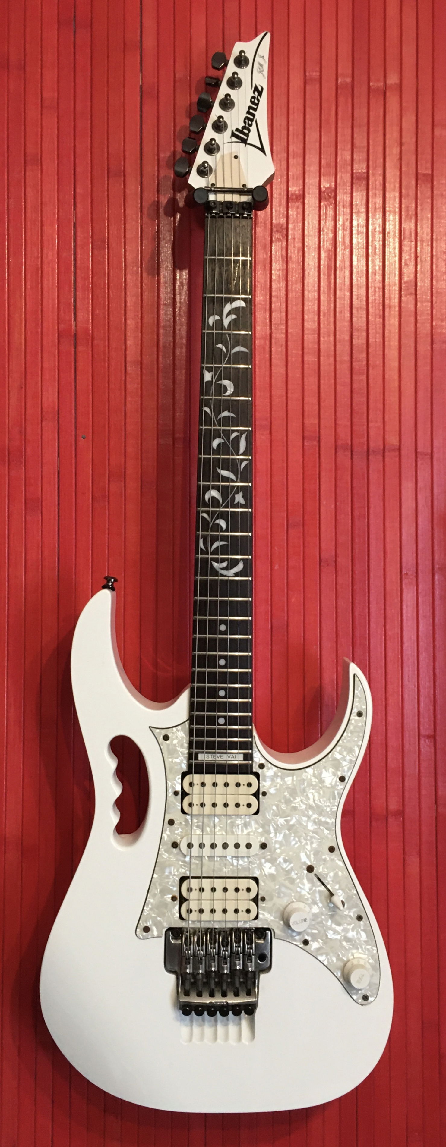 Ibanez Jem