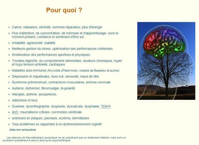 Avez-vous entraîné votre cerveau aujourd'hui ?