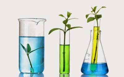 LA HISTORIA DE LA QUÍMICA Y SU CONTRIBUCIÓN EN LA SOCIEDAD PANAMEÑA