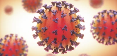 COVID-19 Coronavirus epidemic has a natural origin